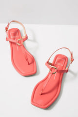 Lorene T Strap