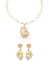 Sunken Treasure Shell Set