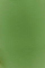 Wynter Scarf Draped Mini Dress - Green