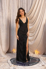 Sprinkle Daisies Mesh Maxi Dress Black